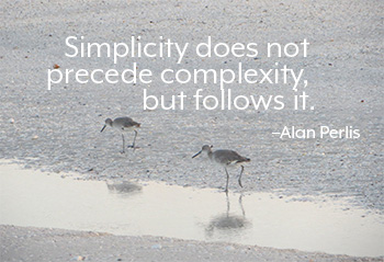 Quote about simplicity